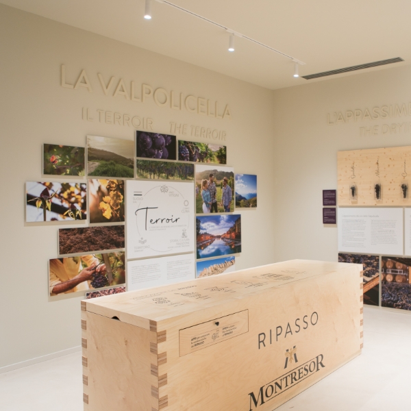 cantine montresor un vino che nasce dalla terra