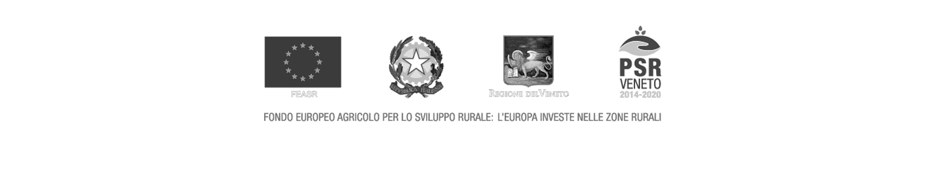 banner PSR