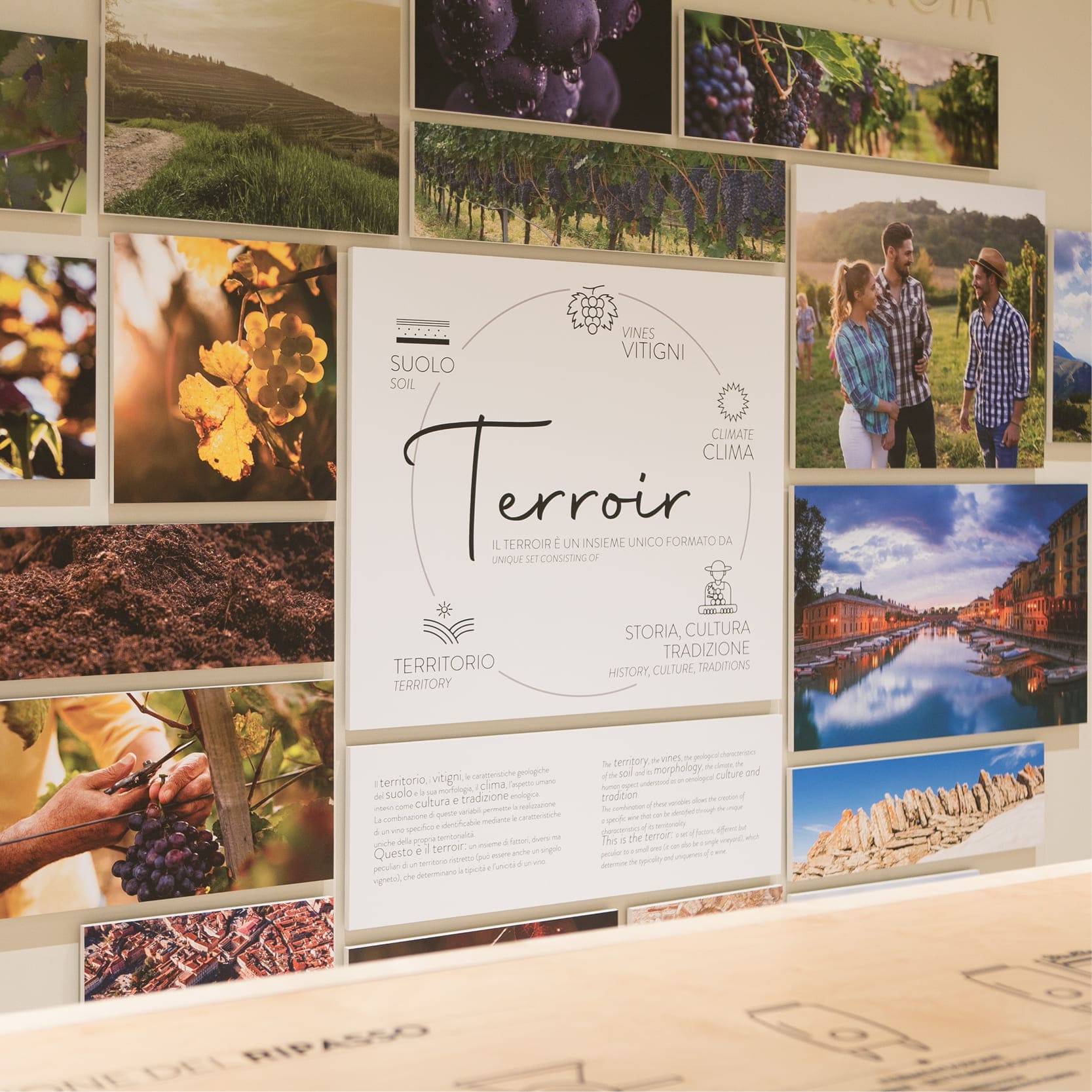 museo del vino verona cantine montresor